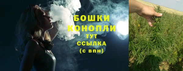 гашик Баксан