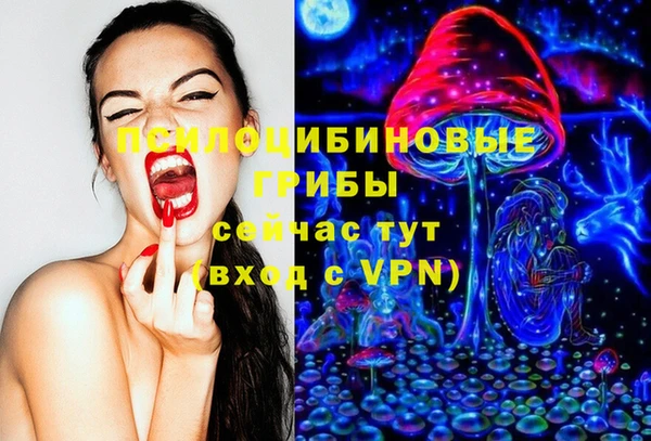 гашик Баксан