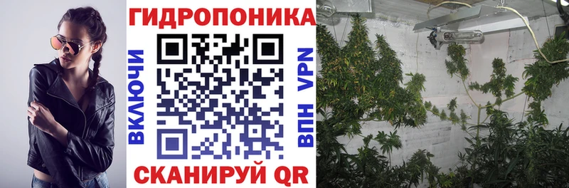 Бошки Шишки конопля  Теберда 